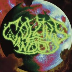 Collins Wood