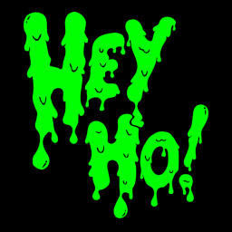 Hey Ho! Skateshop