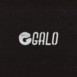 Galo Fingerboard logo