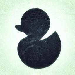 Duck Decks logo