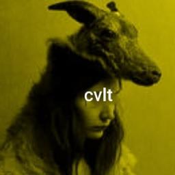 CVLT Board Co