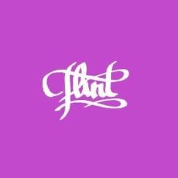 Flint Ltd