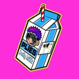 NIZEPLIES