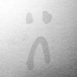 Loner Fingerboards