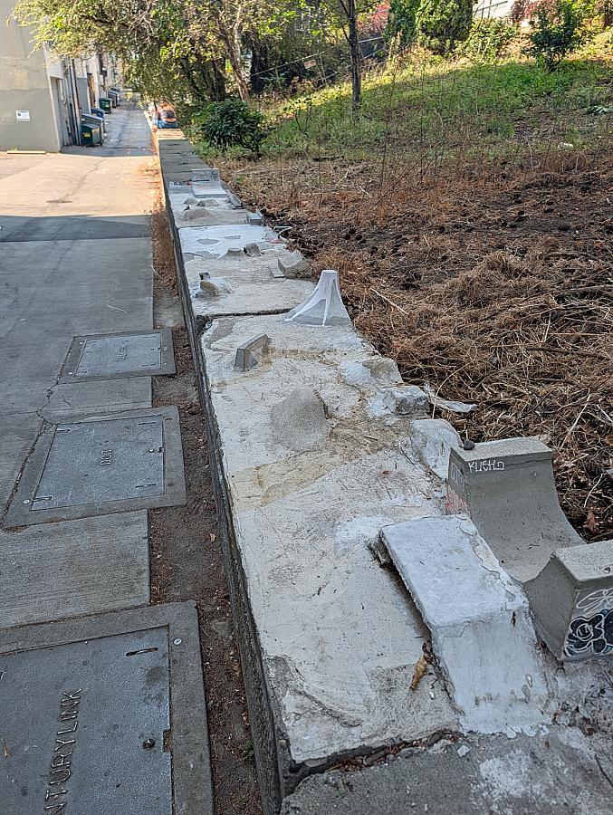 Fremont alley skatepark