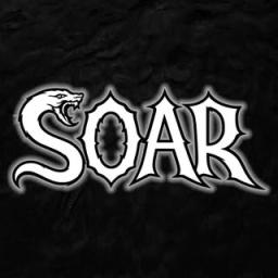 Soaring logo