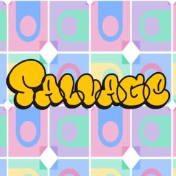 Salvage Fingerboards logo