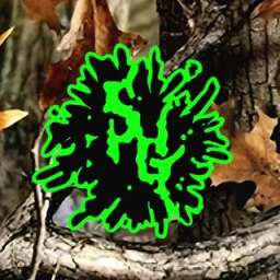 Savage Graphics logo